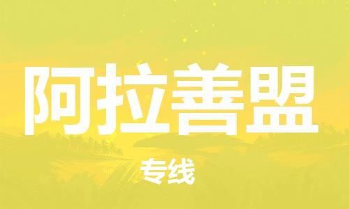 唐山到阿拉善盟物流专线-高效便捷的唐山至阿拉善盟物流公司