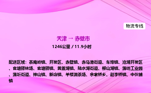 天津到赤壁市物流专线-【快速安全的】天津至赤壁市货运公司