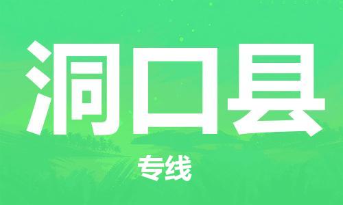 天津到洞口县物流公司-天津至洞口县专线「行李托运专线」