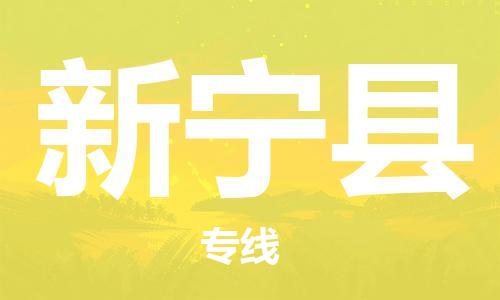 天津到新宁县物流专线-天津到新宁县货运公司-价格从优「免费取件」