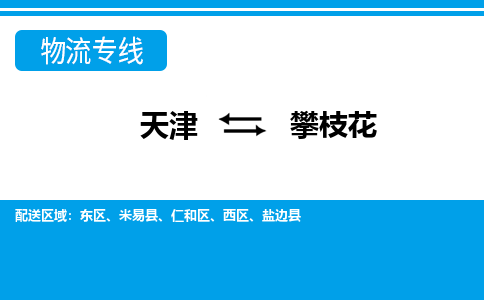 天津到攀枝花物流专线-天津到攀枝花货运公司-价格从优「往返运输」