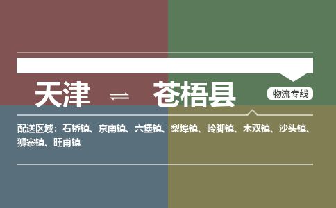 天津到苍梧县货运公司_天津到苍梧县物流专线_天津到苍梧县货运专线