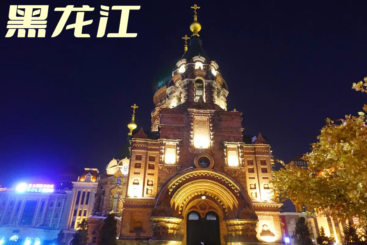 天津到七台河货运公司